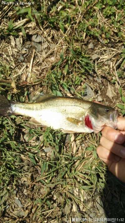 �֥�å��Х�