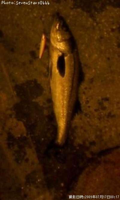 �����Х�