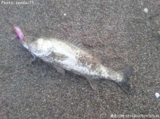 �����Х�