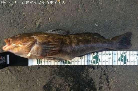 �����ʥ�