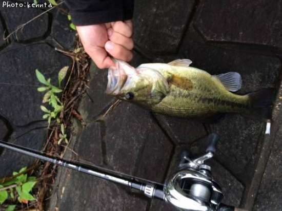 �֥�å��Х�