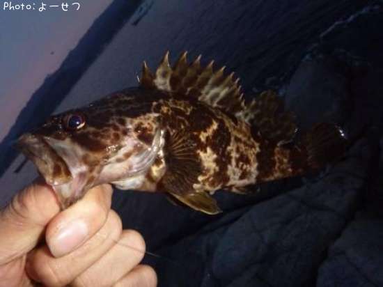 �����Υ���Х�