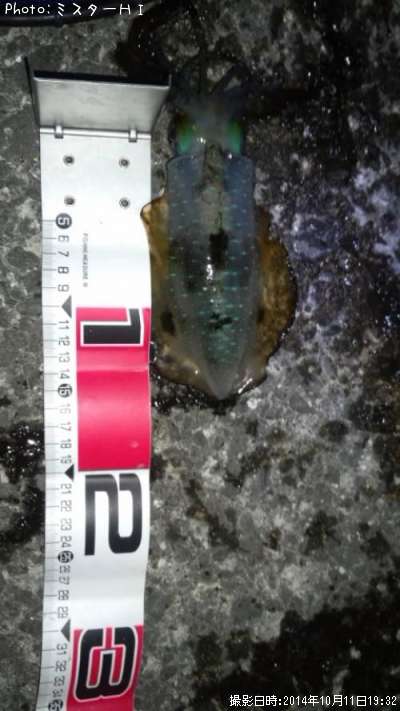 �����ꥤ��