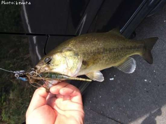 �֥�å��Х�