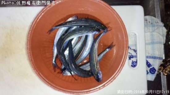 �ȥ����������亮