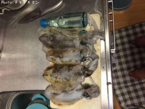 �����ꥤ��