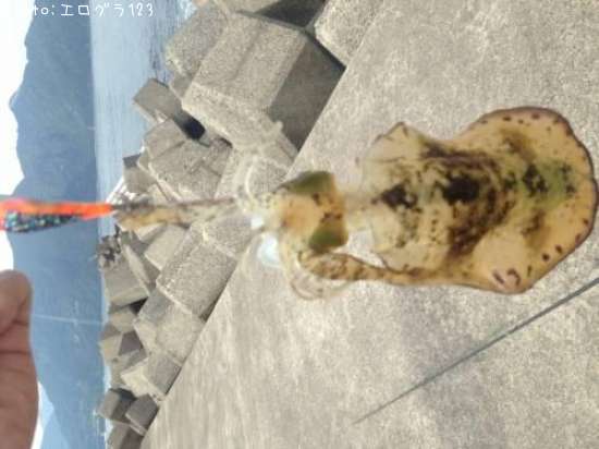 �����ꥤ��