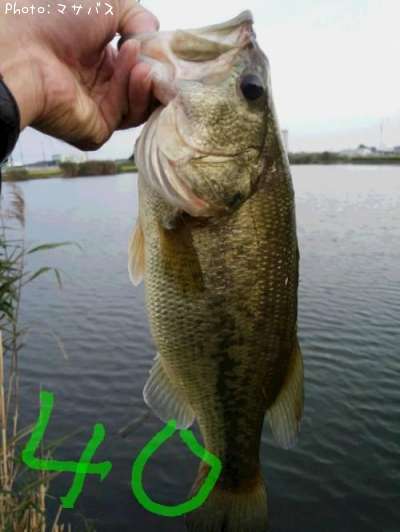 �֥�å��Х�