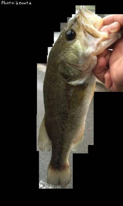 �֥�å��Х�