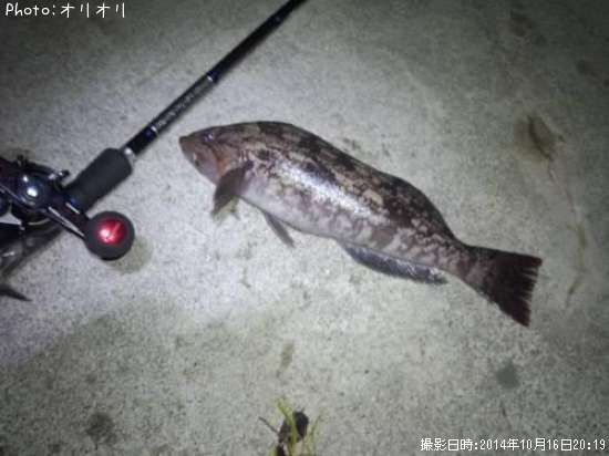 �����ʥ�