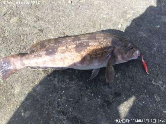 �����ʥ�