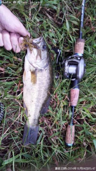 �֥�å��Х�