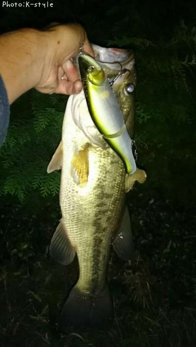 �֥�å��Х���