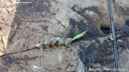 �����ꥤ��