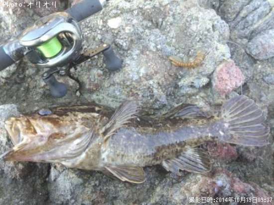 �٥å�������