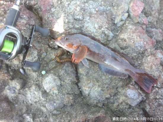 �����ʥ�