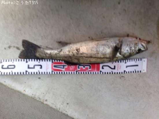 �����Х�