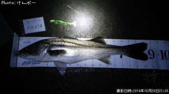 �����Х�