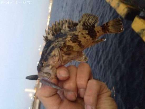 �����Υ���Х�