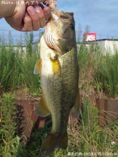 �֥�å��Х�