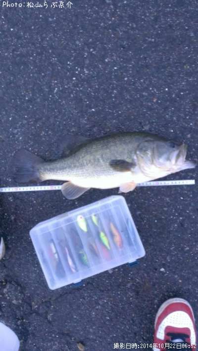 �֥�å��Х�