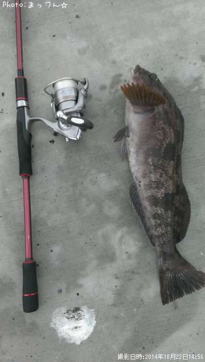 �����ʥ�