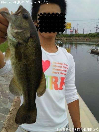 �֥�å��Х�