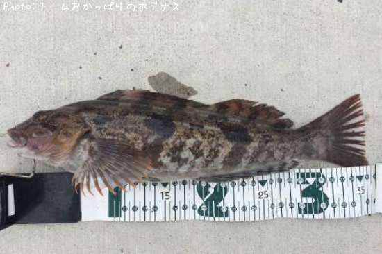 �����ʥ�