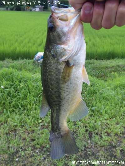 �֥�å��Х�