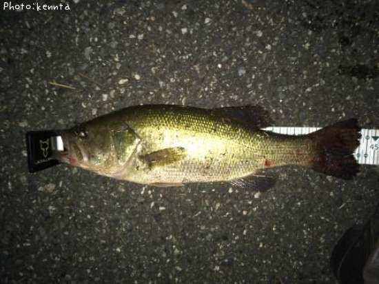 �֥�å��Х�