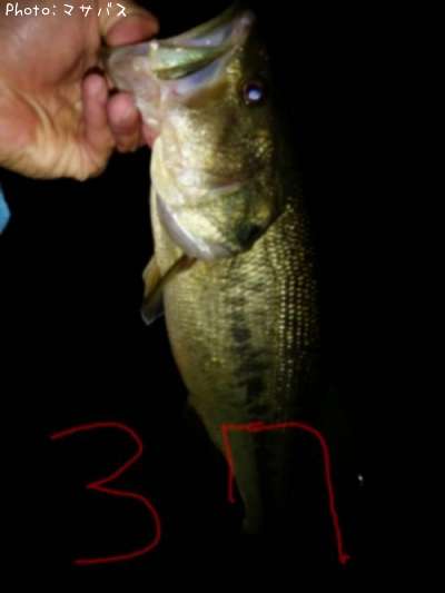 �֥�å��Х�