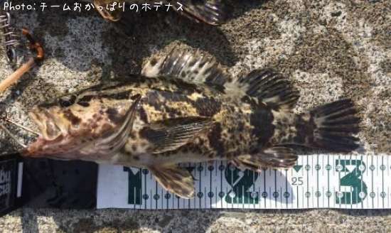 �����Υ���Х�