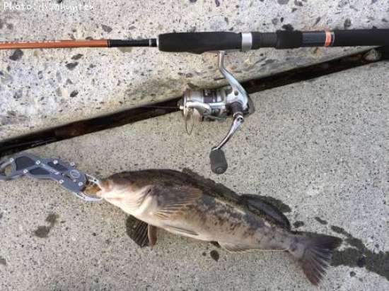 �����ʥ�