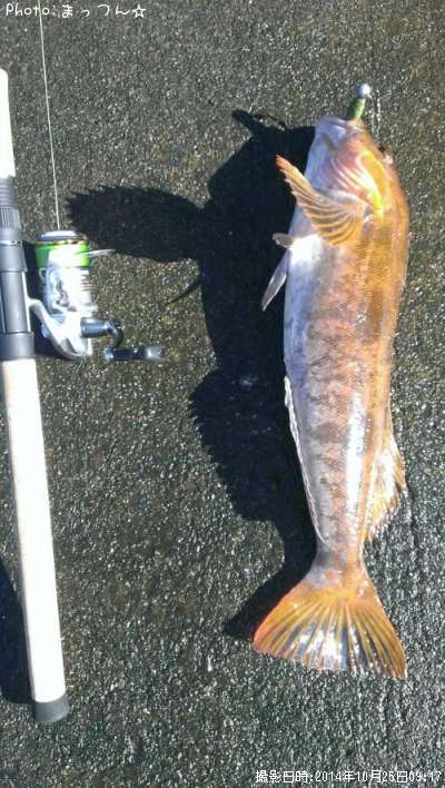 �����ʥ�