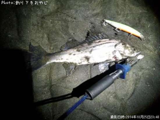 �����Х�