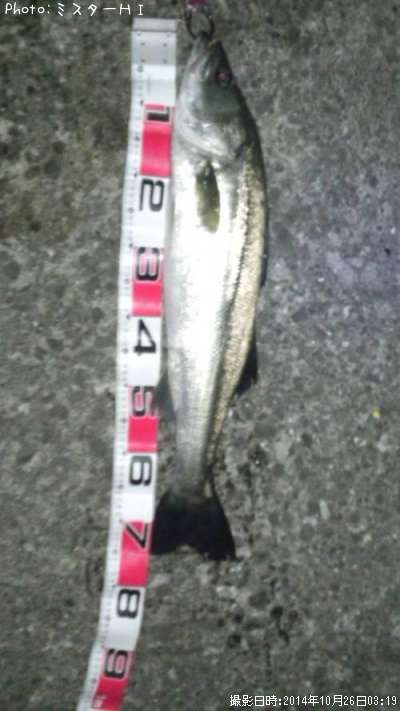 �����Х�