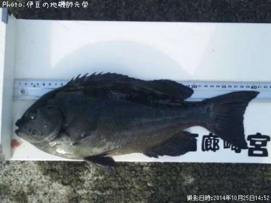 �����᥸��