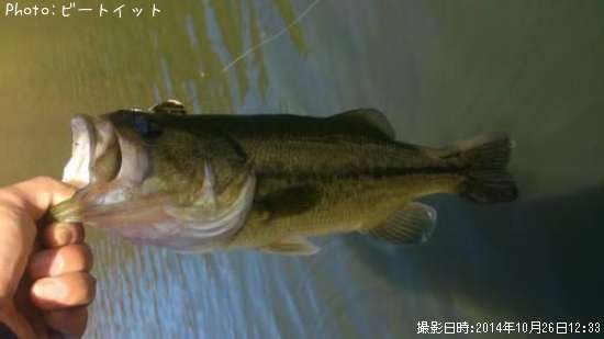 �֥�å��Х�