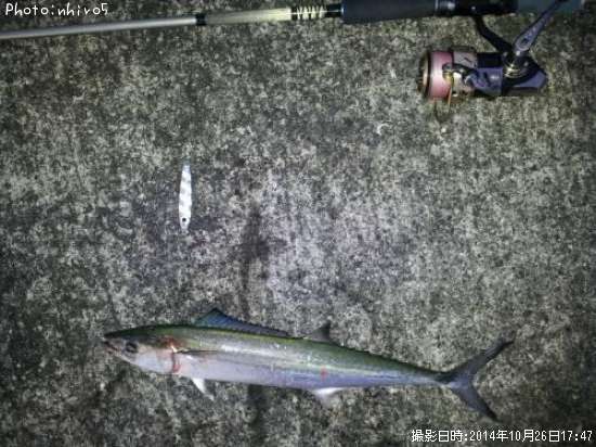 �����λ�