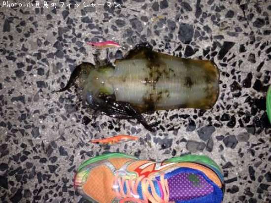 �����ꥤ��