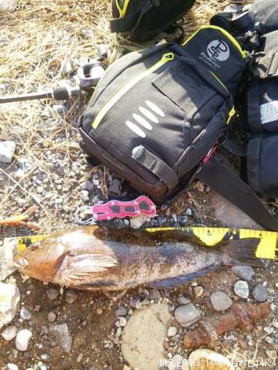 �����ʥ�