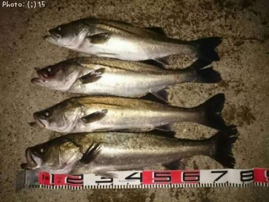 �����Х�