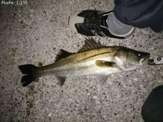 �����Х�