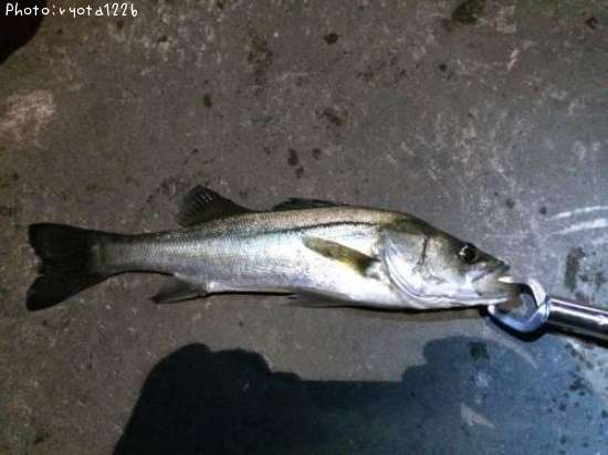 �����Х�