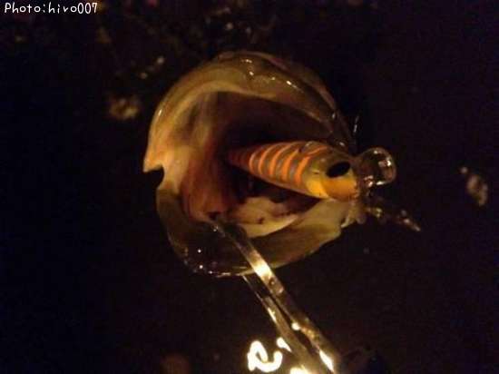 �����Х�