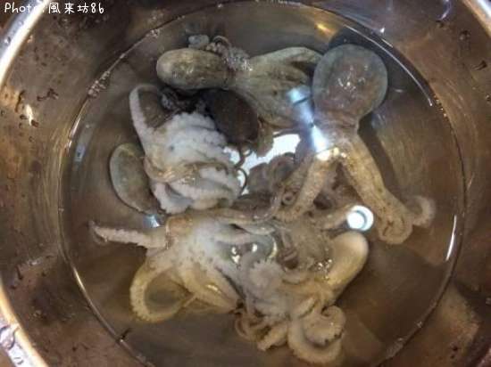 �����������ޥ���