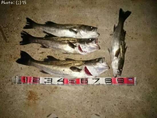 �����Х�