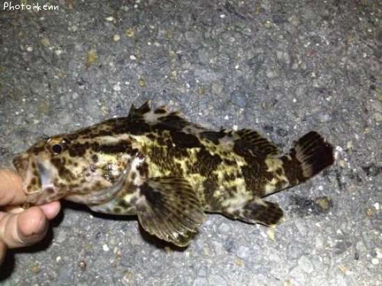 �����Υ���Х�