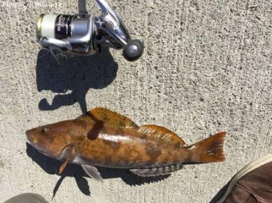 �����ʥ�