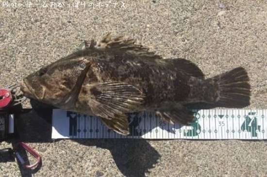 �����Υ���Х�